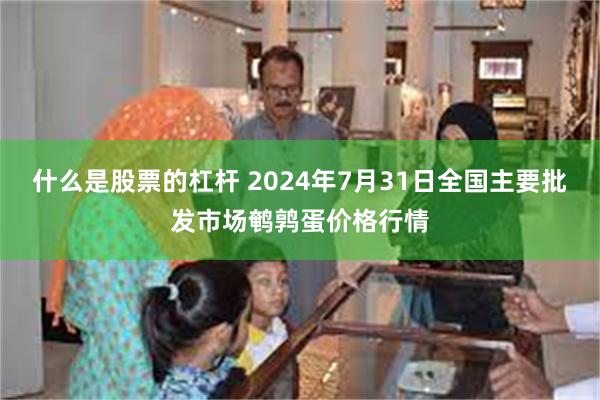 什么是股票的杠杆 2024年7月31日全国主要批发市场鹌鹑蛋价格行情