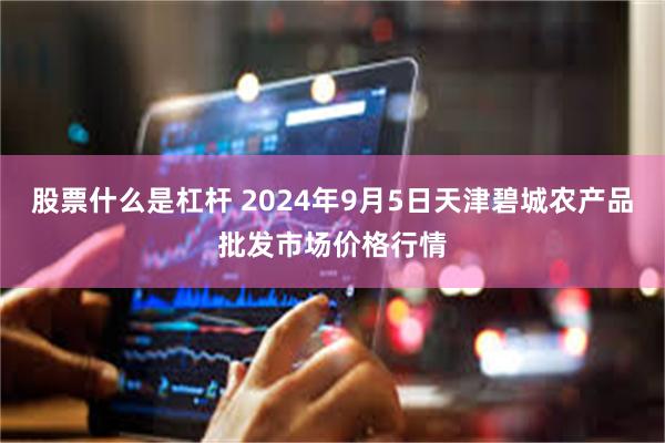 股票什么是杠杆 2024年9月5日天津碧城农产品批发市场价格行情