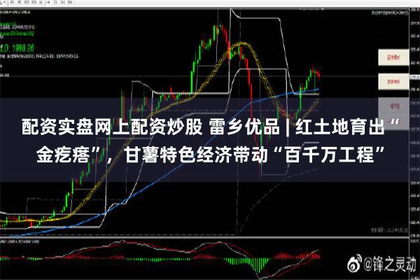 配资实盘网上配资炒股 雷乡优品 | 红土地育出“金疙瘩”，甘薯特色经济带动“百千万工程”