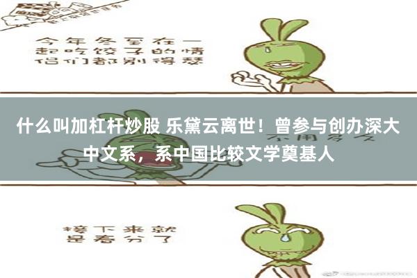 什么叫加杠杆炒股 乐黛云离世！曾参与创办深大中文系，系中国比较文学奠基人