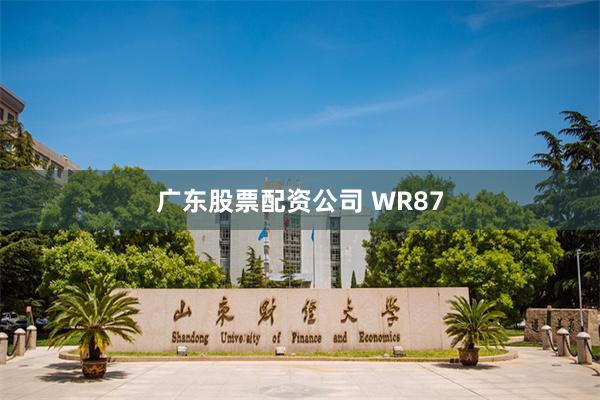 广东股票配资公司 WR87