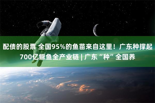 配债的股票 全国95%的鱼苗来自这里！广东种撑起700亿鳜鱼全产业链 | 广东“种”全国养