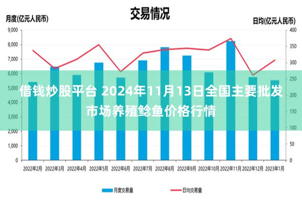 借钱炒股平台 2024年11月13日全国主要批发市场养殖鲶鱼价格行情