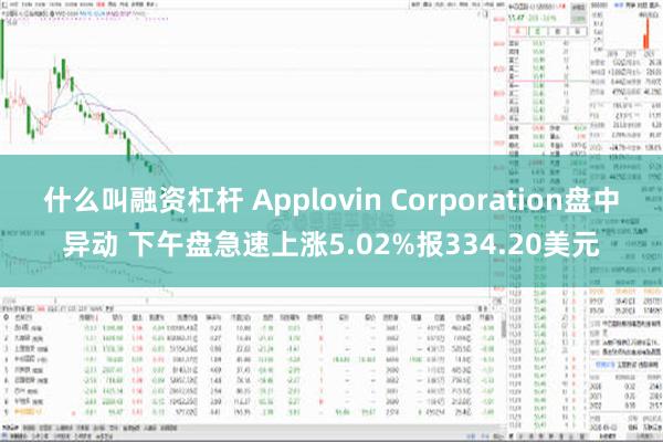 什么叫融资杠杆 Applovin Corporation盘中异动 下午盘急速上涨5.02%报334.20美元