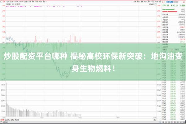 炒股配资平台哪种 揭秘高校环保新突破：地沟油变身生物燃料！
