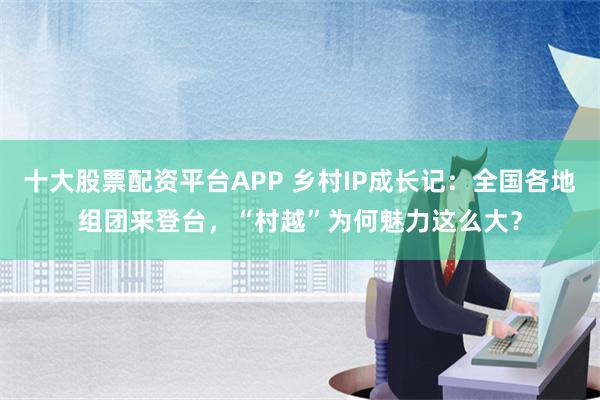 十大股票配资平台APP 乡村IP成长记：全国各地组团来登台，“村越”为何魅力这么大？