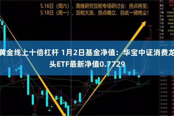 黄金线上十倍杠杆 1月2日基金净值：华宝中证消费龙头ETF最新净值0.7729