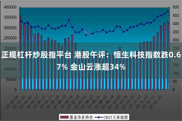 正规杠杆炒股指平台 港股午评：恒生科技指数跌0.67% 金山云涨超34%